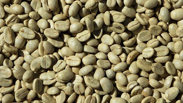 Cara Membuat Kopi Hijau