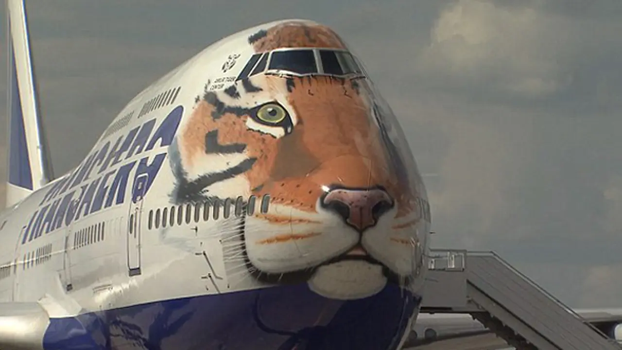 Penerbangan Harimau