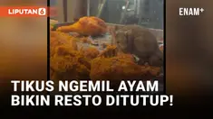Duh! Video Tikus Gerogoti Ayam Bikin Restoran Dipaksa Tutup