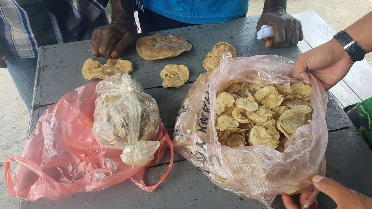 gelembung ikan