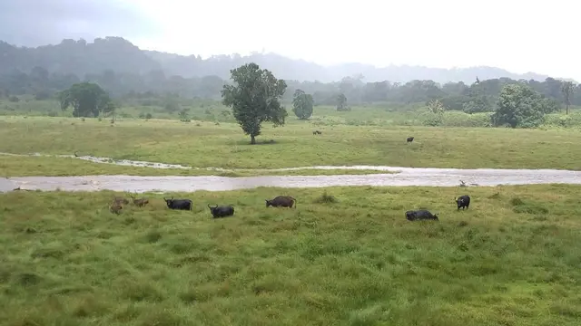 [Bintang] Jawa Timur