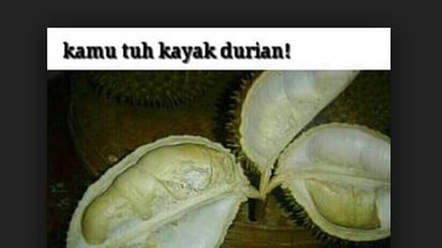 6 Meme Tentang Durian Ini Nyeleneh Pol, Bikin Geleng Kepala