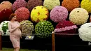 Seorang wanita berjalan melewati pameran National Chrysanthemum Society pada RHS (Royal Horticultural Society) Chelsea Flower Show, London, Senin (21/5). Festival tahunan ini yang diadakan selama lima hari pada bulan Mei. (AP/Matt Dunham)