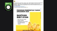 Cek Fakta: Tidak Benar Link Pendaftaran Bantuan Bibit Ayam untuk Masyarakat