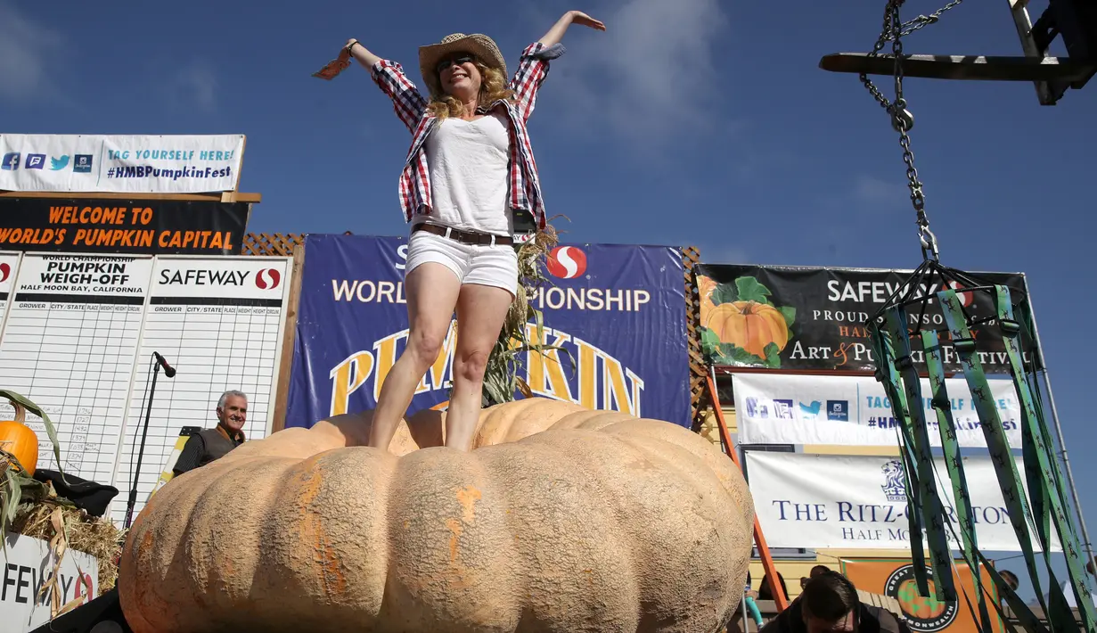 Cindy Tobeck berdiri di atas labu seberat 1.736 pon miliknya dalam lomba Safeway World Championship Pumpkin Weigh-Off di Half Moon Bay, California, Amerika Serikat, Senin (14/10/2019). Seorang petani keluar sebagai juara dengan labu seberat 2.175 pon miliknya. (Justin Sullivan/Getty Images/AFP)