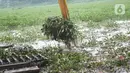 Petugas menggunakan alat berat untuk mengeruk eceng gondok yang memenuhi permukaan Setu Pengarengan, Depok, Jawa Barat, Senin (16/12/2019). Pengerukan dilakukan untuk membersihkan Setu Pengarengan dari eceng gondok yang tumbuh selama kurang lebih satu tahun terakhir. (Liputan6.com/Immanuel Antonius)