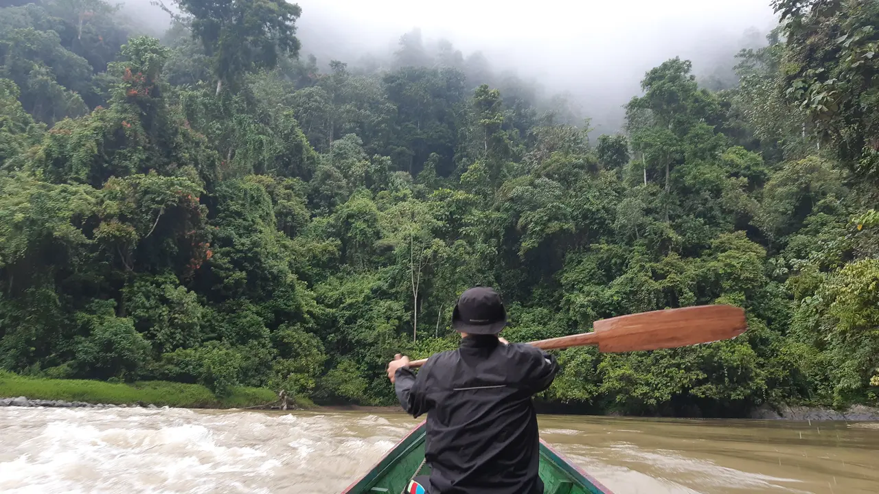 Lokasi pelepasliaran orangutan di Kaltim (Liputan6.com / Gusti Yovanda)