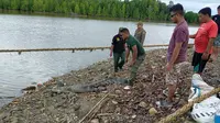 BKSDA melepasliarkan buaya di Sungai Roraya Konawe Selatan usai ditangkap warga di empang.(foto BKSDA untuk Liputan6.com)