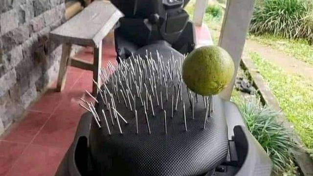 66 Bentuk Jok Motor Berduri Ini Bikin Geleng Kepala, Nyeleneh Banget