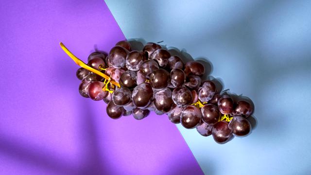 Anggur Vitis Vinifera