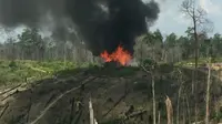 Markas perambah sekaligus pembakar hutan 100 hektare berada di kawasan Taman Nasional Tesso Nilo. (Liputan6.com/M Syukur)