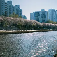 4 Destinasi Wisata yang Wajib Dikunjungi di Korea Selatan./copyright. pexels/