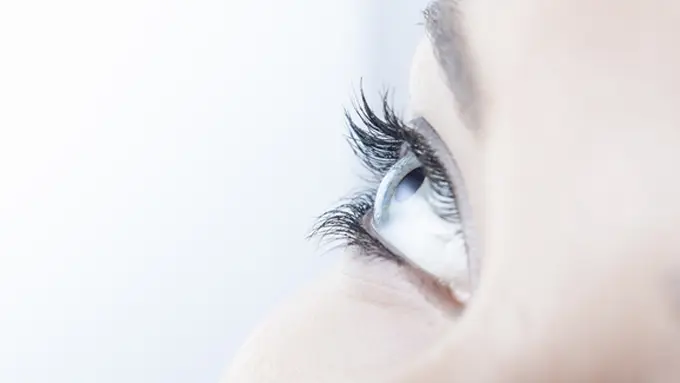 Foto: copyright thinkstockphotos.com