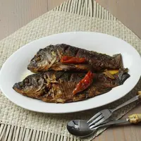 ilustrasi ikan mas/Anjarsari laofiati putri/Shutterstock