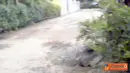 Jalan yang ada di Desa Jatiprahu, Kecamatan Karangan, Kabupaten Trenggalek tepatnya di Dusun Nggrogolan. Sejak tahun 1990 sampai saat ini belum juga diaspal.