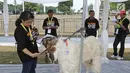 Juri saat menilai kontes ternak kambing kaligesing dalam acara Jambore Peternakan Nasional 2017 di Buperta Cibubur, Jakarta, Sabtu (23/9). Kontes ternak kambing kaligesing memperebutkan piala Presiden. (Liputan6.com/Herman Zakharia)