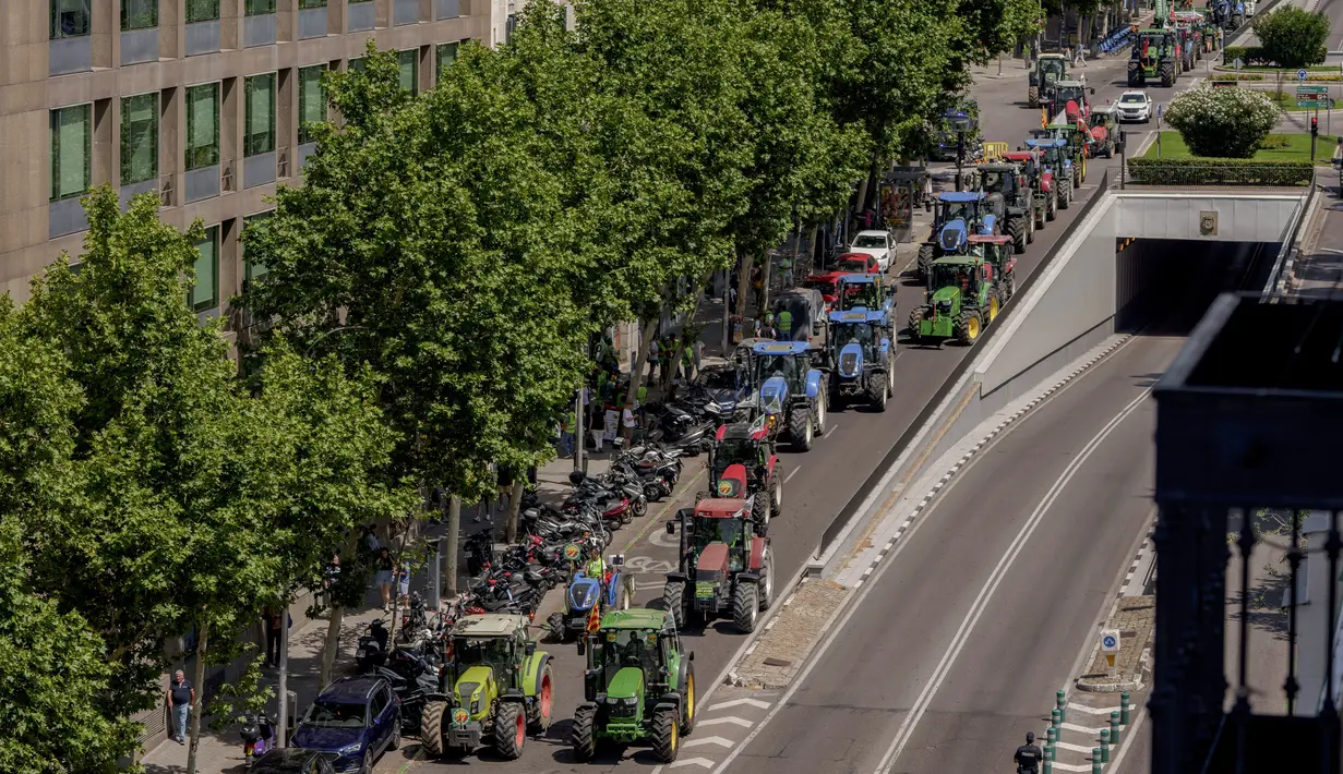 Para petani mengemudikan traktor mereka selama protes di jalan-jalan Madrid, Spanyol, Rabu (5/7/2023). (AP Photo/Manu Fernandez)