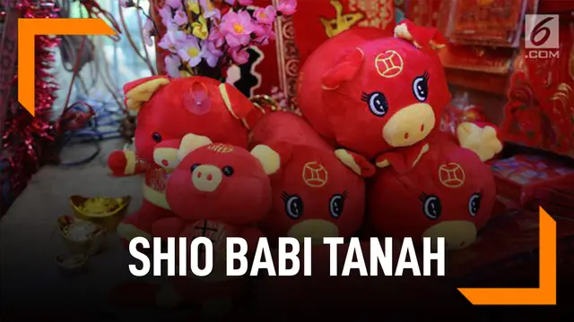 VIDEO: Fakta Unik Shio Babi Tanah Menurut Fengshui