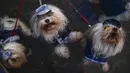 Anjing peliharaan dibawa untuk diberkati pada pesta Santo Antonius di Pamplona, Spanyol, 17 Januari 2022. Pesta santo pelindung hewan Spanyol ini dirayakan setiap tahun dan orang-orang membawa hewan peliharaan mereka ke gereja untuk diberkati. (AP Photo/Alvaro Barrientos)