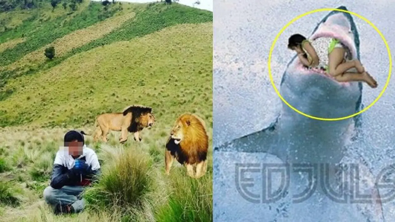 Kelewat Kreatif, Editan Foto Bareng Hewan Buas Ini Justru Bikin Ketawa Geli