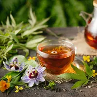 Ilustrasi teh herbal/Shutterstock-Kattecat.