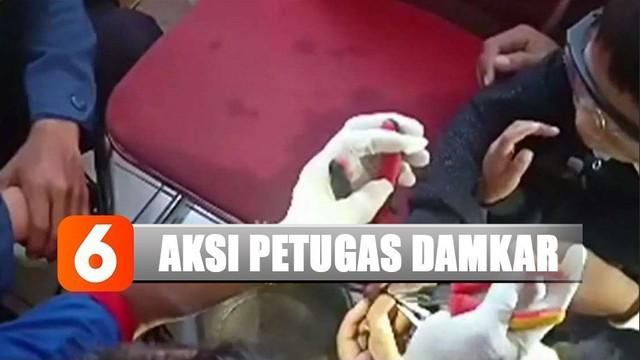 Evakuasi telor ular atau bahkan menangkap ular beracun yang berbahaya, jelas bukan tugas utama pasukan branwir.