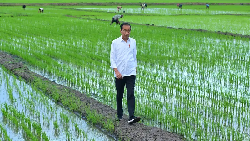 Presiden Joko Widodo (Jokowi) mengunjungi Desa Telaga Sari, Distrik Kurik, Kabupaten Merauke, Provinsi Papua Selatan, Selasa, 23 Juli 2024. (Foto: Muchlis Jr - Biro Pers Sekretariat Presiden)