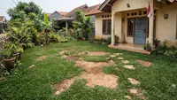 8 Tempat di Mana Rumput Tidak Akan Tumbuh, Begini Tips Mengatasinya