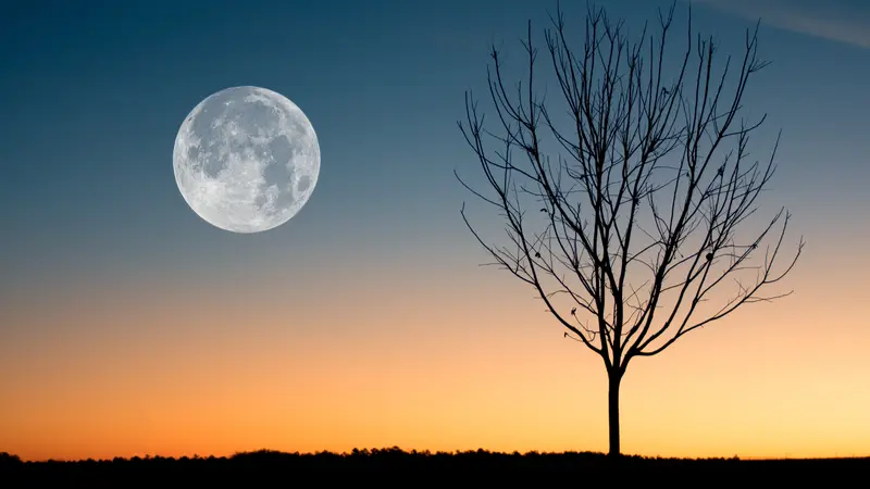 100 Kata-Kata Bulan yang Bikin Tenang dan Penuh Makna, Bisa Teduhkan Hati