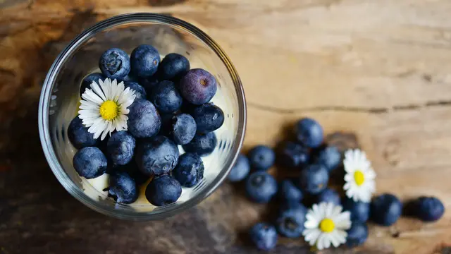 Bluberrie salah satu makanan sehat untuk penderita penyakit ginjal.