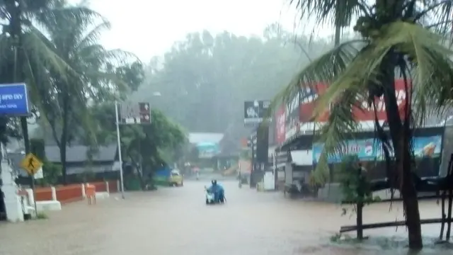 cempaka