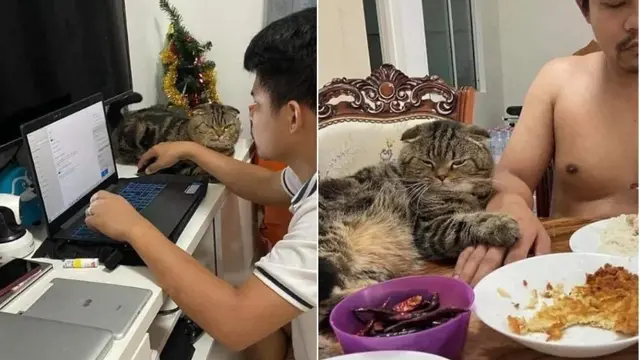 Potret Majikan yang Lengket dengan Hewan Peliharaan