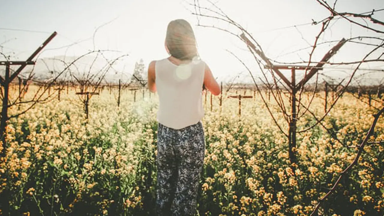 Foto: copyright pexels.com