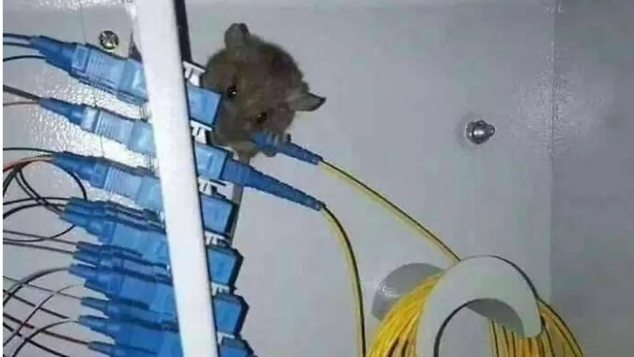 7 Potret Ini Bak Mimpi Buruk Teknisi