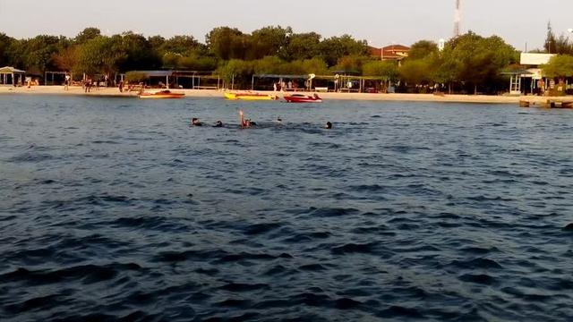 Agus Yudhoyono berenang ke Pulau Untung Jawa