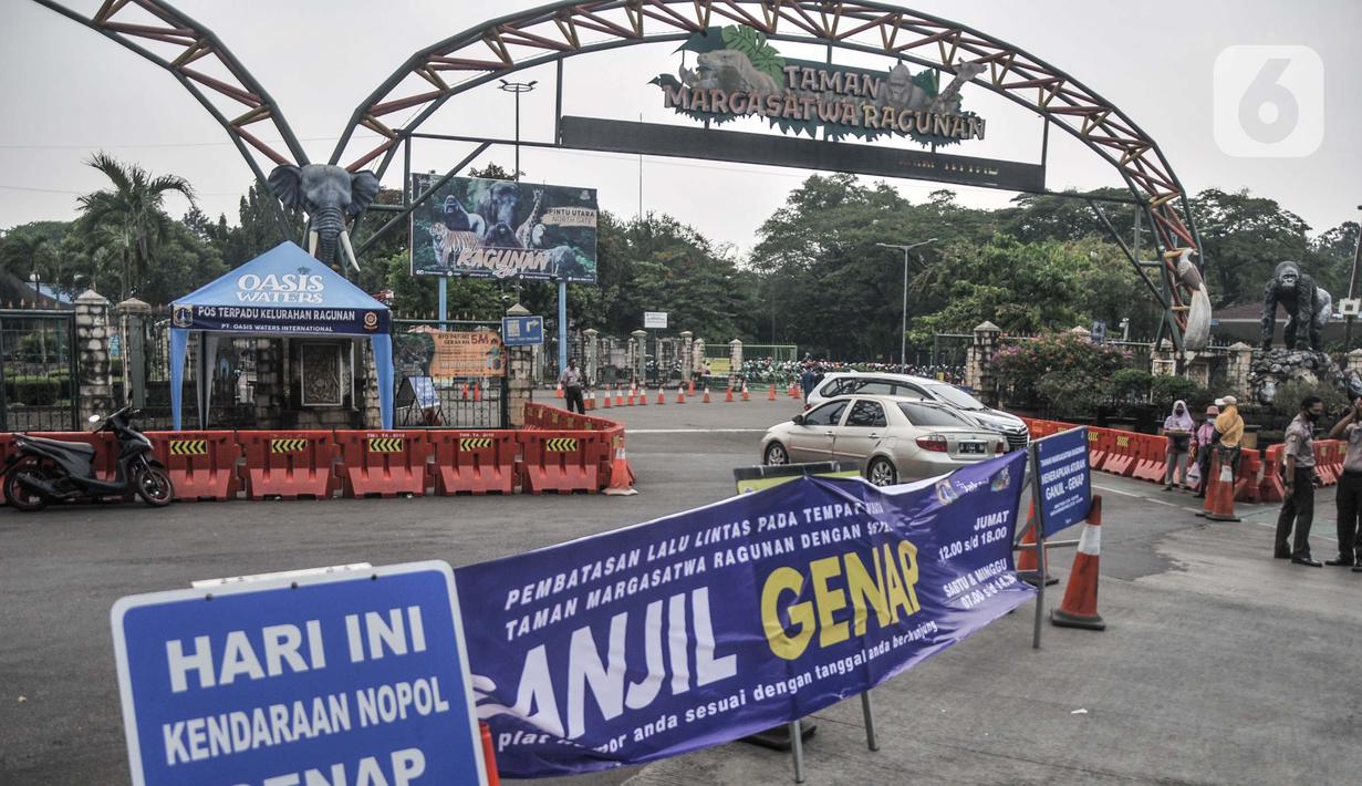Mobil berpelat ganjil putar balik saat pemberlakuan ganjil genap di Taman Margasatwa Ragunan, Jakarta, Minggu (24/10/2021). Sistem ganjil genap di tempat wisata berlaku pada hari Jumat mulai pukul 12.00-18.00 WIB serta Sabtu dan Minggu pukul 07.00-14.30 WIB. (merdeka.com/Iqbal S. Nugroho)
