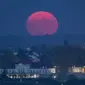 Pink Moon yang diambil pada 29 April 2017. (THOMAS KIENZLE/AFP)