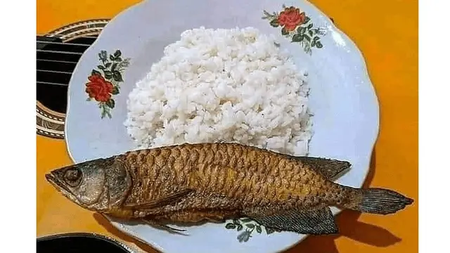 6 Menu Buka Puasa Pakai Ikan Hias Ini Nyeleneh, Absurd Maksimal
