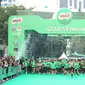 Ajang maraton MILO ACTIV Indonesia Race 2023 Jakarta Series resmi digelar&nbsp;di Plaza Tenggara, Gelora Bung Karno, Senayan, Jakarta pada Minggu (8/10/2023) pagi WIB. Total 13.000 peserta turut ambil bagian dalam gelaran ini. (Istimewa)