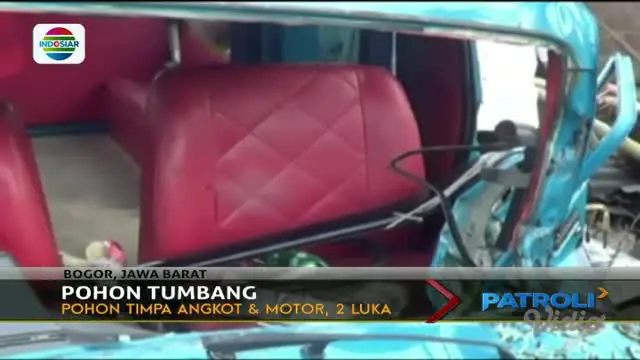 Pohon di Bogor Tumbang, 2 Orang Terluka