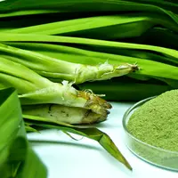 Bukan hanya rasa dan wangi khasnya, ternyata daun pandan memiliki sejumlah manfaat kesehatan.