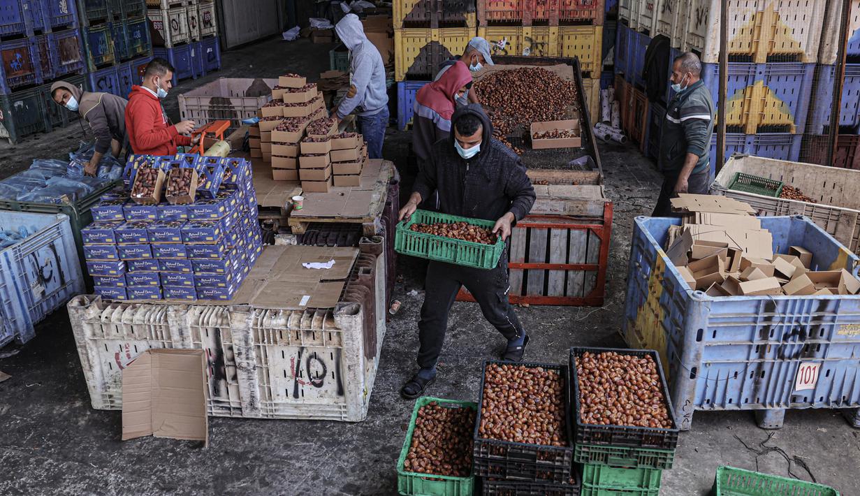 Berdasarkan Abu Dhabi Food Control Authority (ADFCA) pada 2017, jenis, bentuk, dan ukuran menentukan kualitas dan harga kurma itu sendiri.  (AFP/Said Khatib)