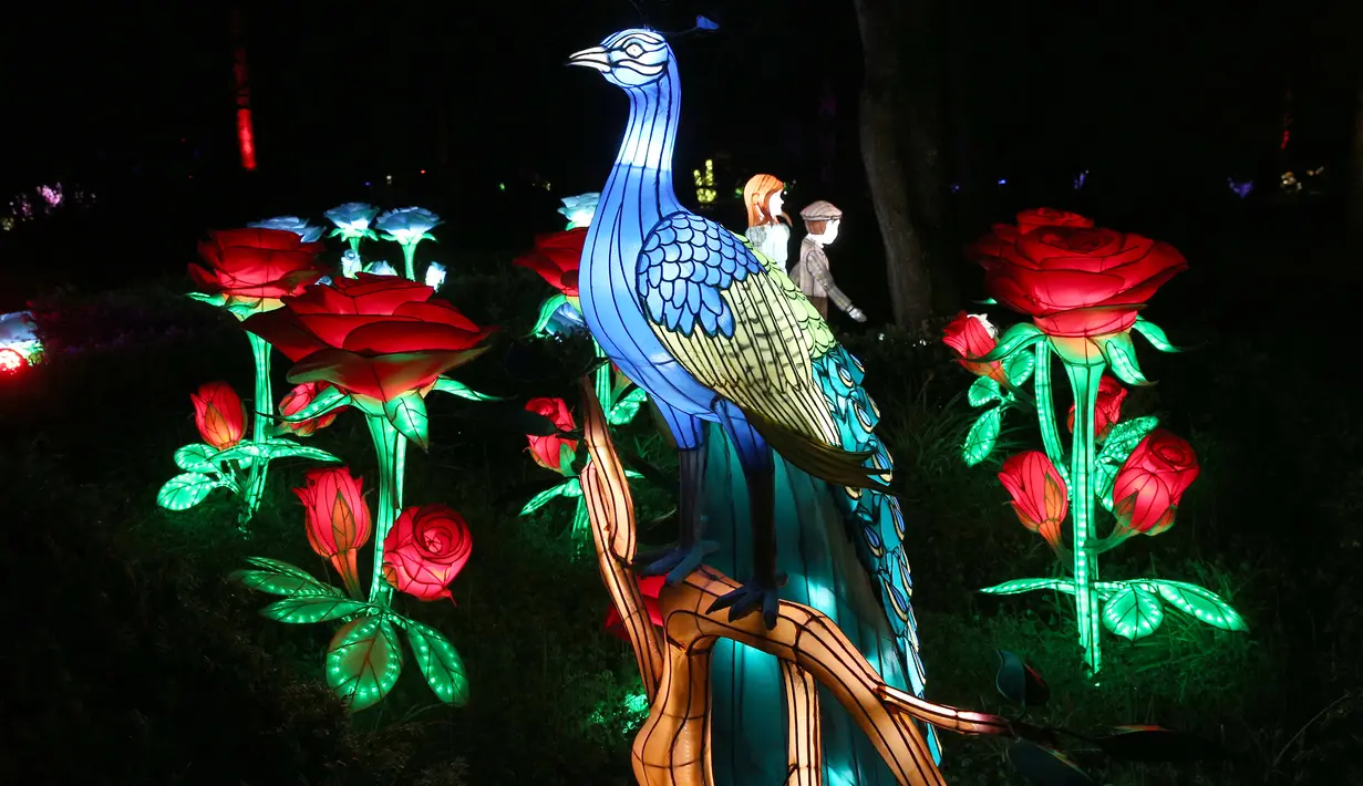 Instalasi cahaya dalam sebuah pertunjukan lentera bertajuk "Taman Ajaib" di Tropical Botanical Garden di Lisbon, Portugal pada 28 Desember 2020. Perhelatan itu akan berlangsung hingga 10 Januari 2021 mendatang. (Xinhua/Pedro Fiuza)