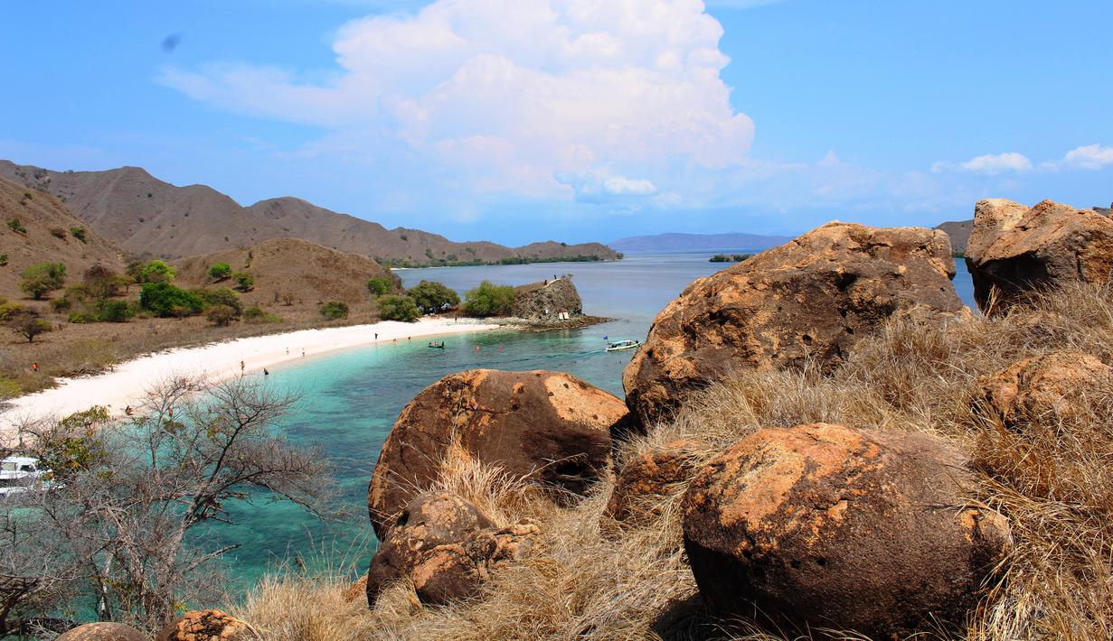 Pink Beach punya keindahan bawah laut yang juga memesona. Beberap spot kerap menjadi pilihan turis mancanegara yang datang ke Taman Nasional Komodo di Nusa Tenggara Timur. (Liputan6.com/ Ahmad Ibo).