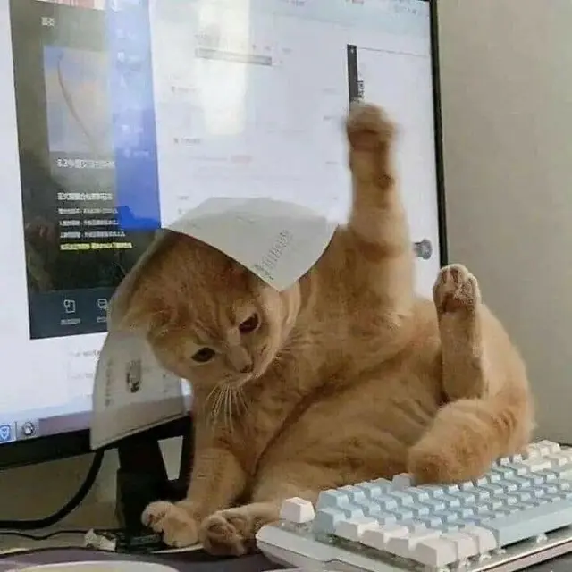 8 Potret Tingkah Kucing saat Gabut Ini Bikin Tepuk Jidat