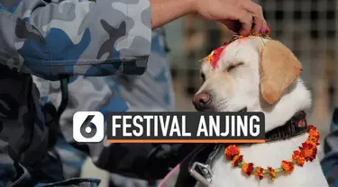 Festival Kukur Tihar merupakan perayaan umat Hindu di Nepal yang memberi penghormatan kepada anjing. Pada perayaan ini anjing didandani, diberi makan, dimanja seharian penuh. Bahkan sampai disembah karena dianggap binatang suci.