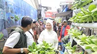 Menteri Ketenagakerjaan, Ida Fauziyah melakukan panen hasil tanaman hidroponik di Tanah Tinggi, Jakarta, Sabtu (2/9/2023). (Foto: Istimewa)