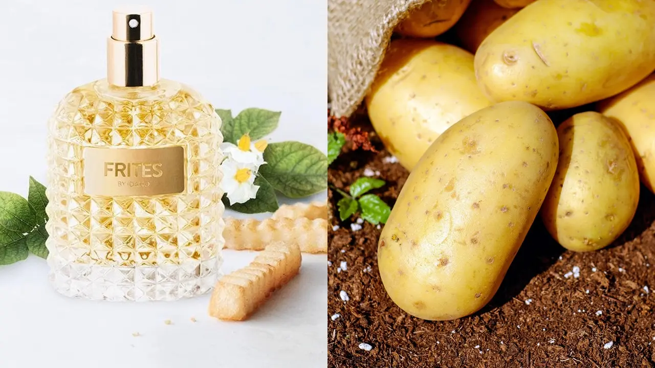Parfum Beraroma Kentang Goreng