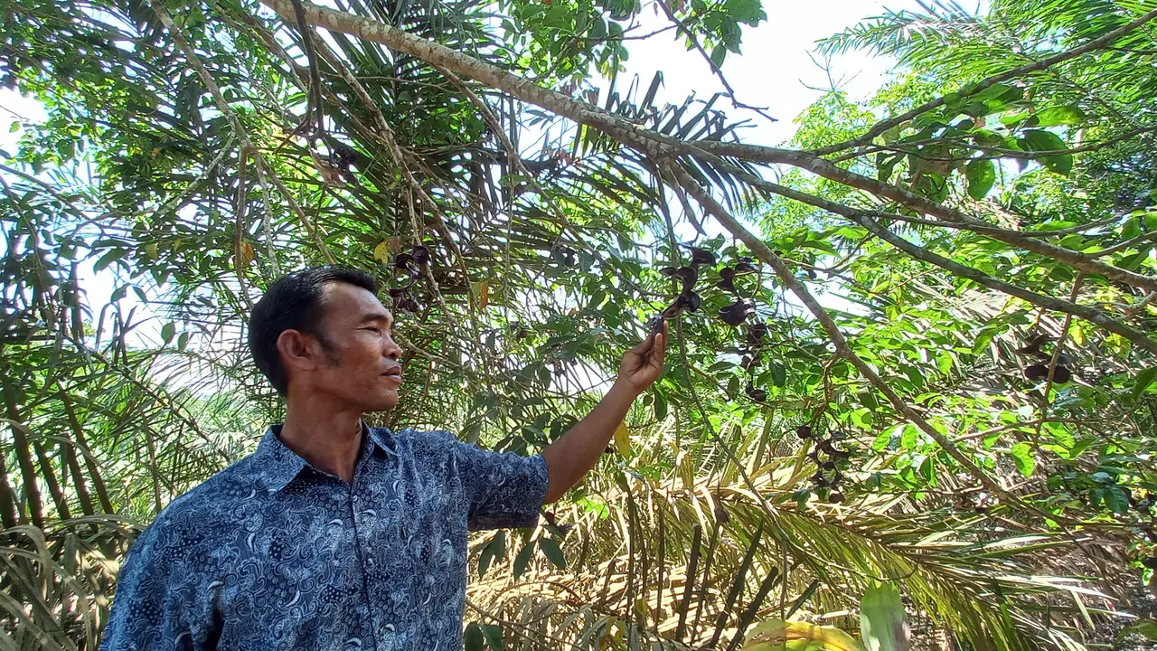 KTH Padukuhan Mandiri