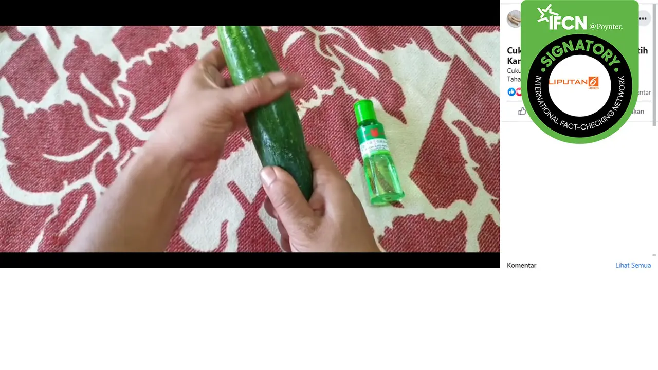 Benarkah Minyak Kayu Putih Bisa Cerahkan Miss V dan Membuat Mr P Tahan Lama?
